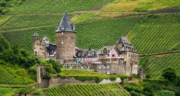 Rhine Castles & Swiss Alps