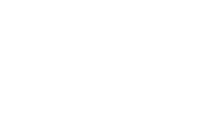 Viking Cruise Logo