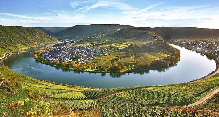 Vineyards of the Rhine & Moselle